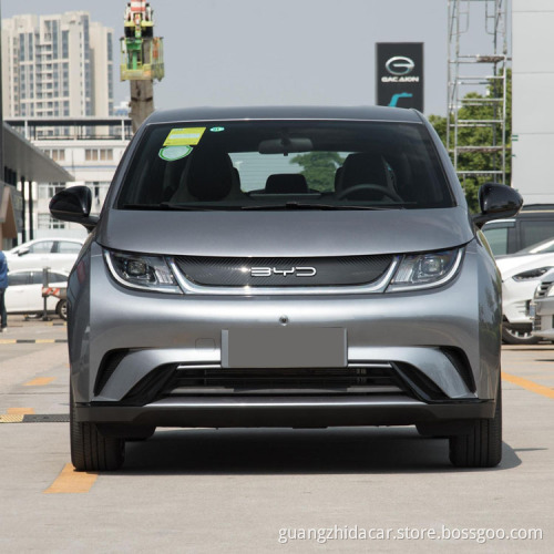 طبعة الموضة 405km بيع Knight 401 Haitun BYD Dolphin